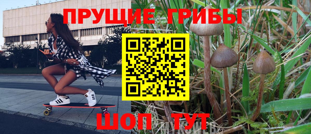 Галлюциногенные грибы MAGIC MUSHROOMS Алатырь